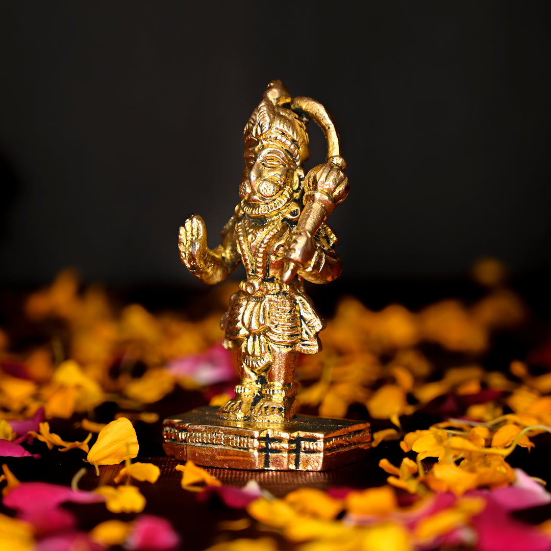Standing Hanuman Ji Dashboard