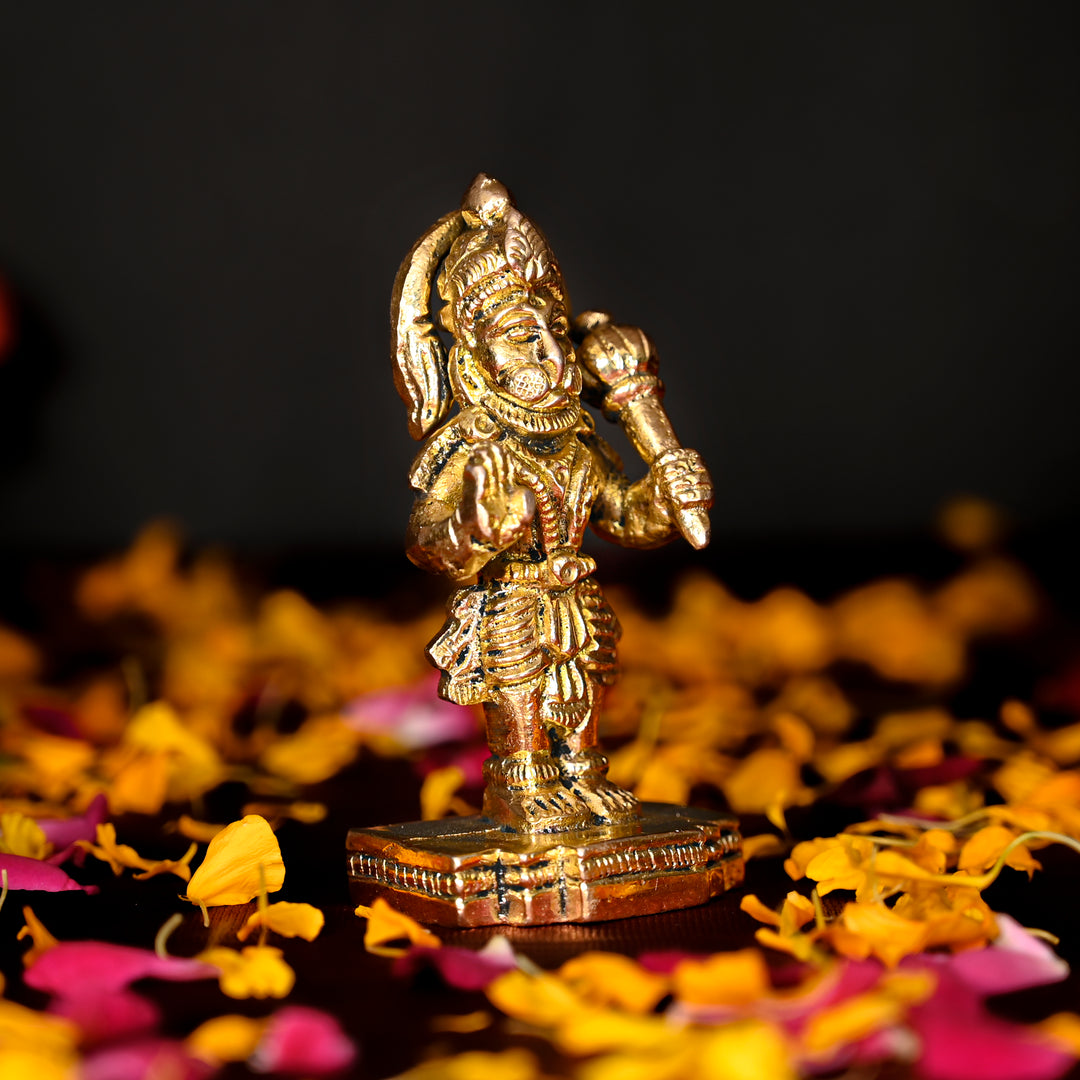 Standing Hanuman Ji Dashboard